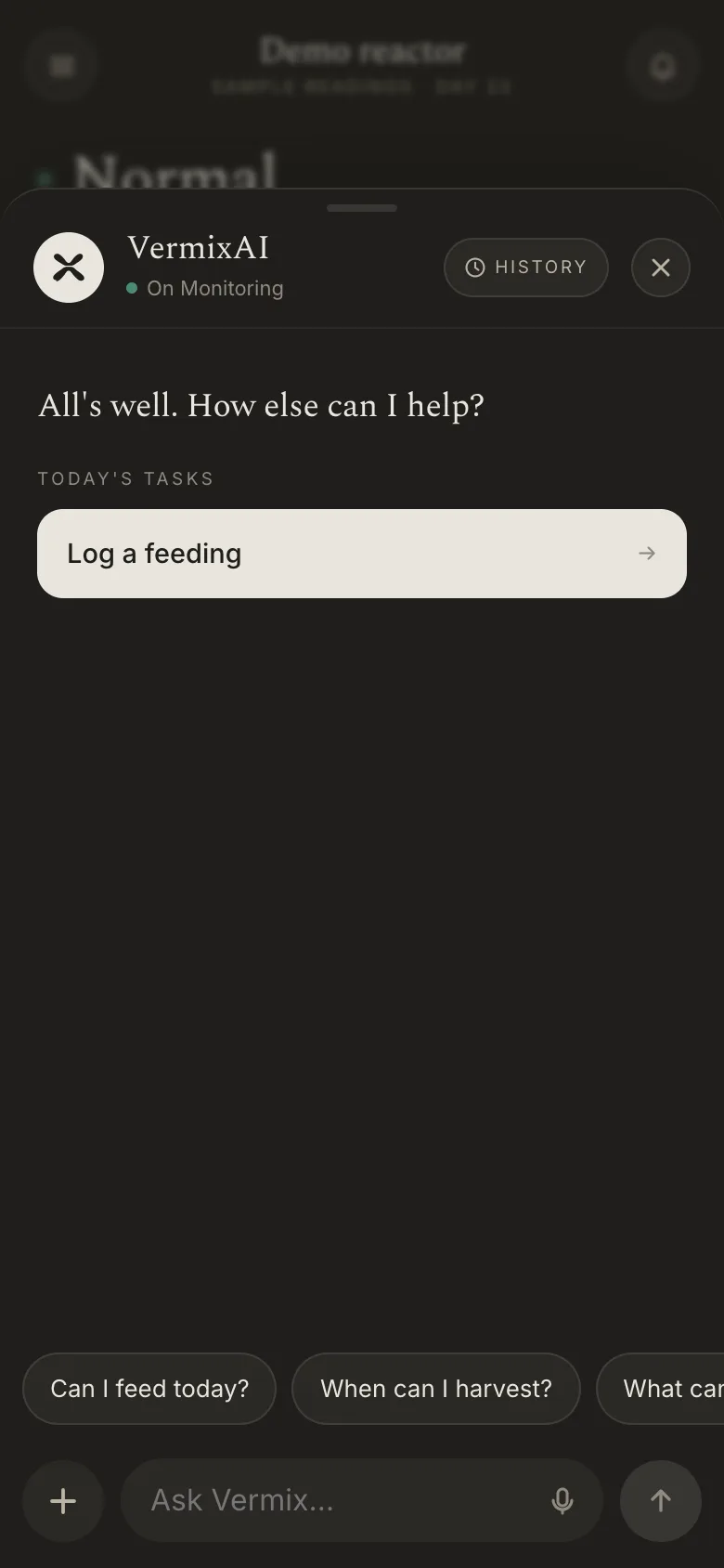 VermixAI conversation screen