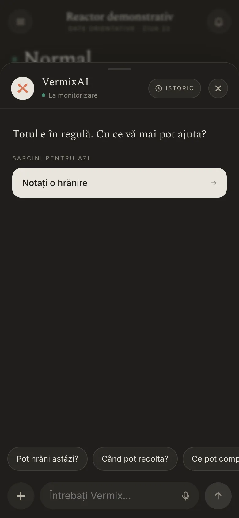 Ecranul conversației cu VermixAI