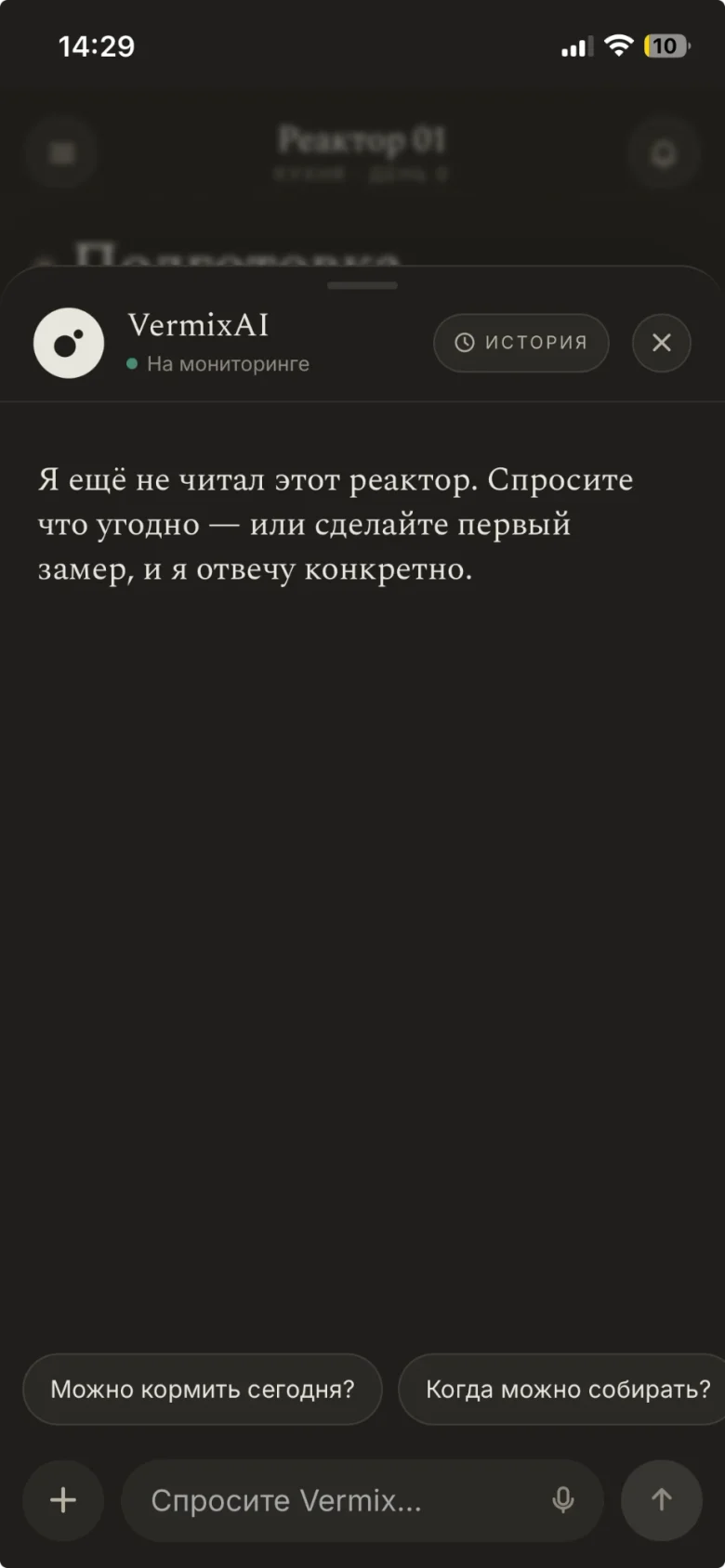 Экран разговора с VermixAI